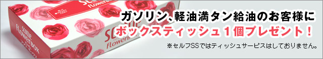 ボックスティッシュプレゼント